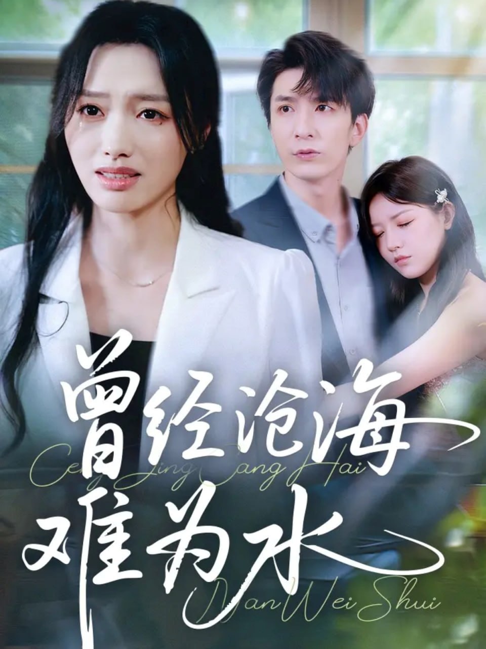 曾经沧海难为水 2025 全集完结(大结局)
