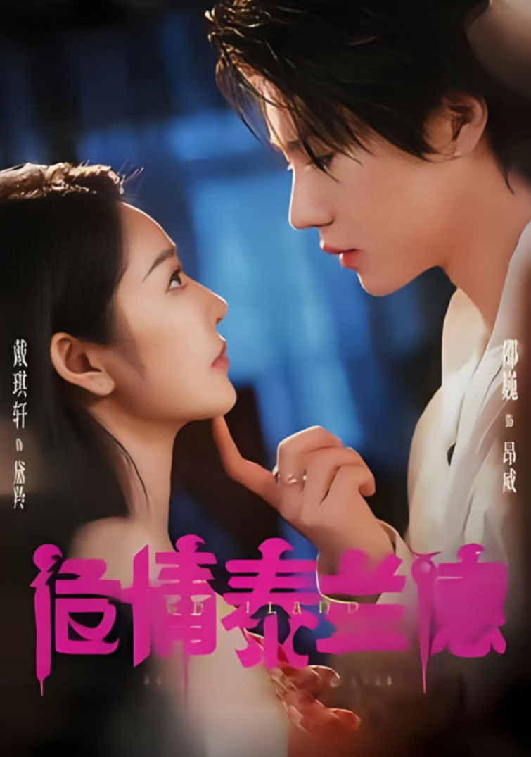 危情泰兰德 2025 全集完结(大结局)