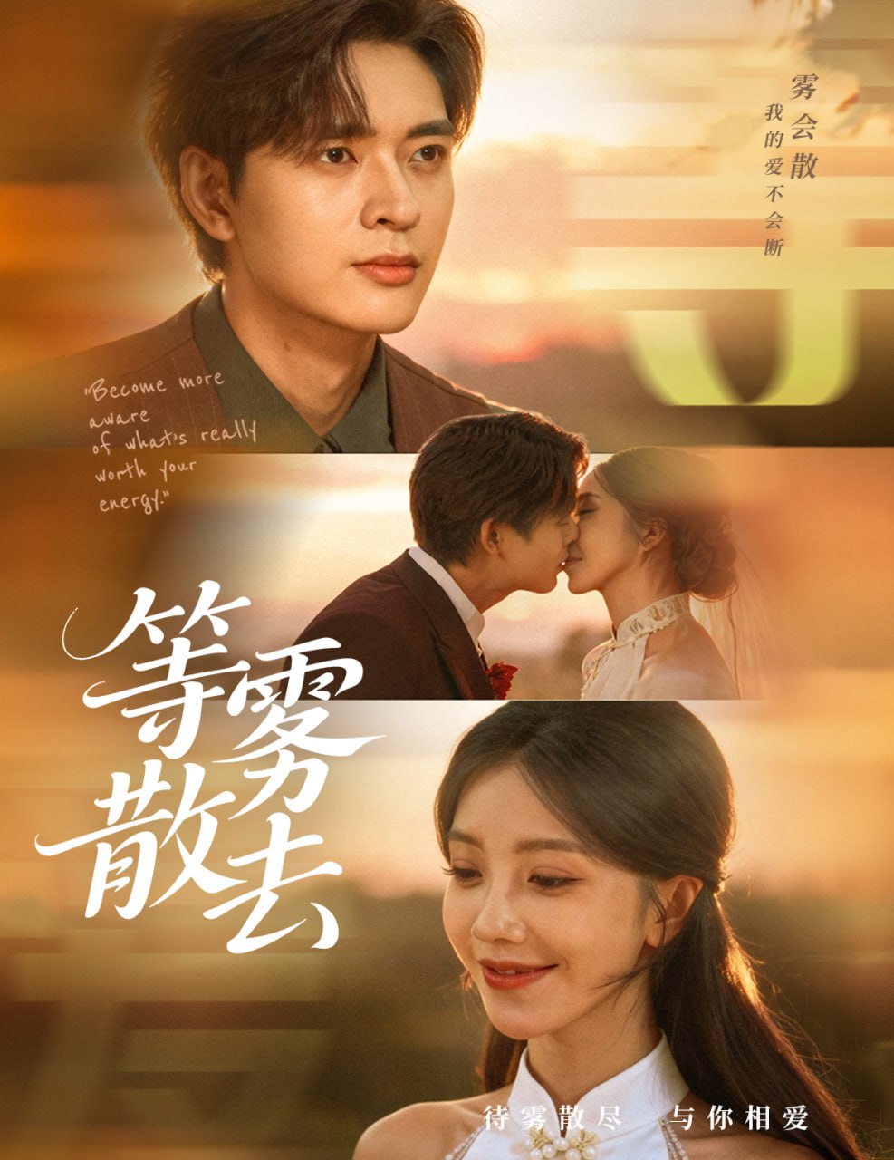 雾散情归处（等雾散去） 全集完结(大结局)