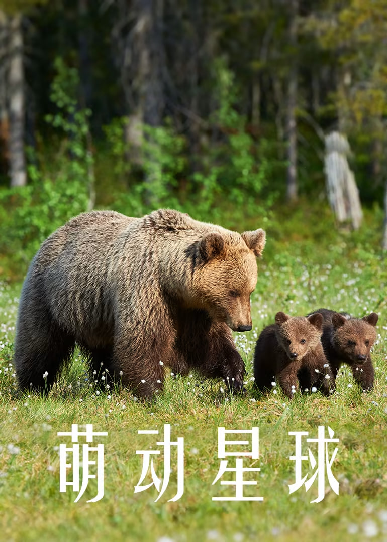 萌动星球 第01集