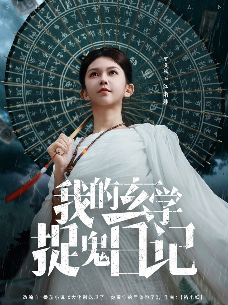 我的玄学捉鬼日记 全集完结(大结局)