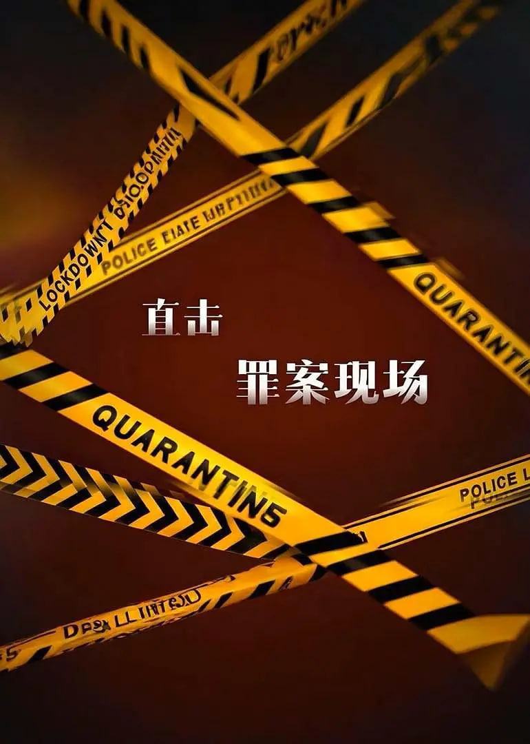 直击罪案现场 第01集