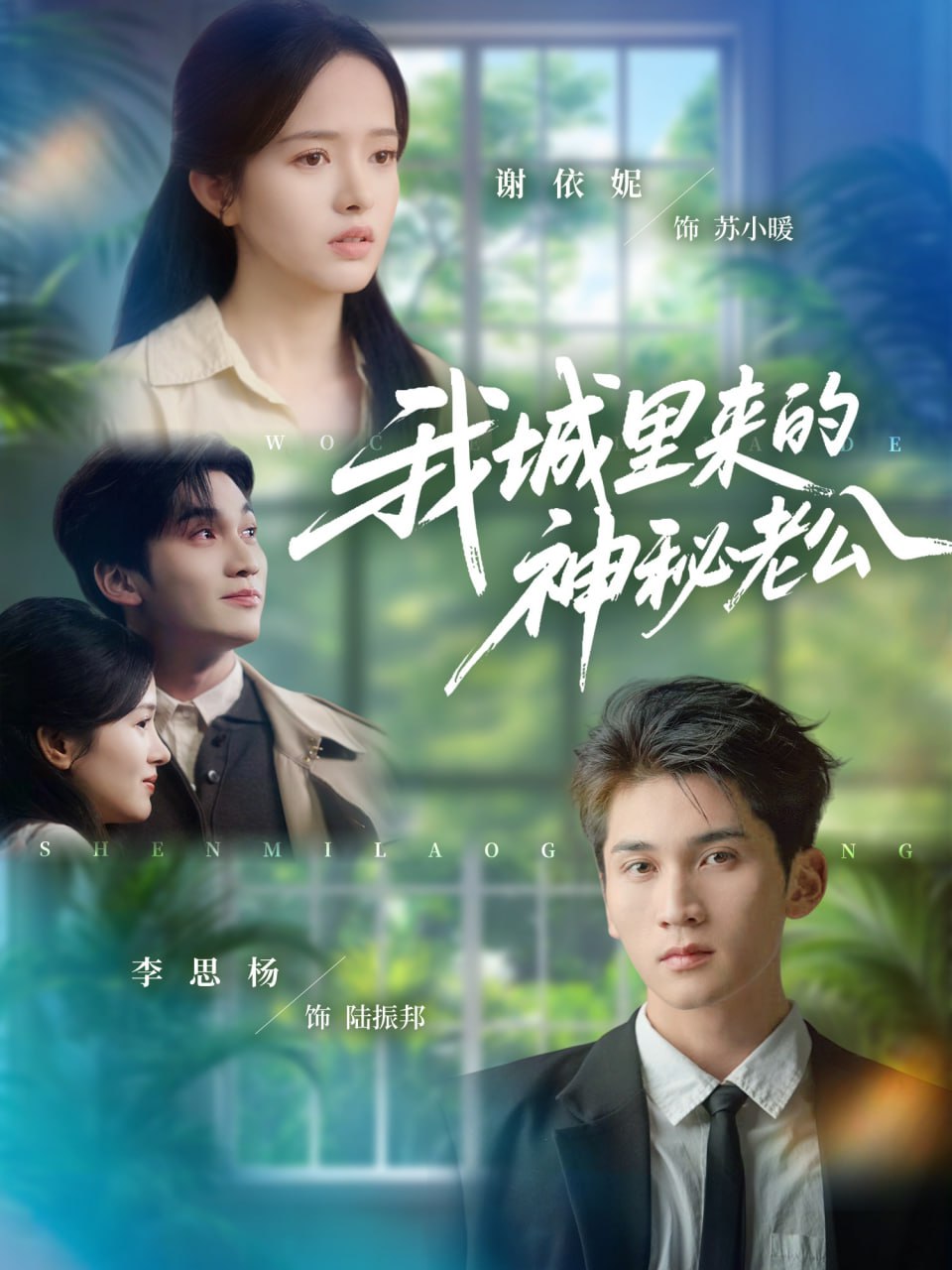 我城里来的神秘老公 全集完结(大结局)