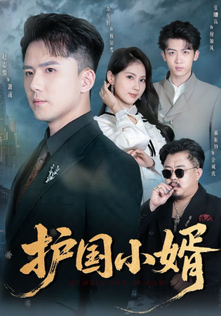 护国小婿 全集完结(大结局)