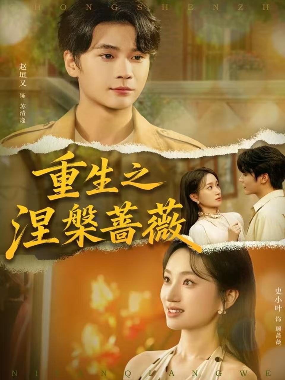 重生之涅槃蔷薇 全集完结(大结局)