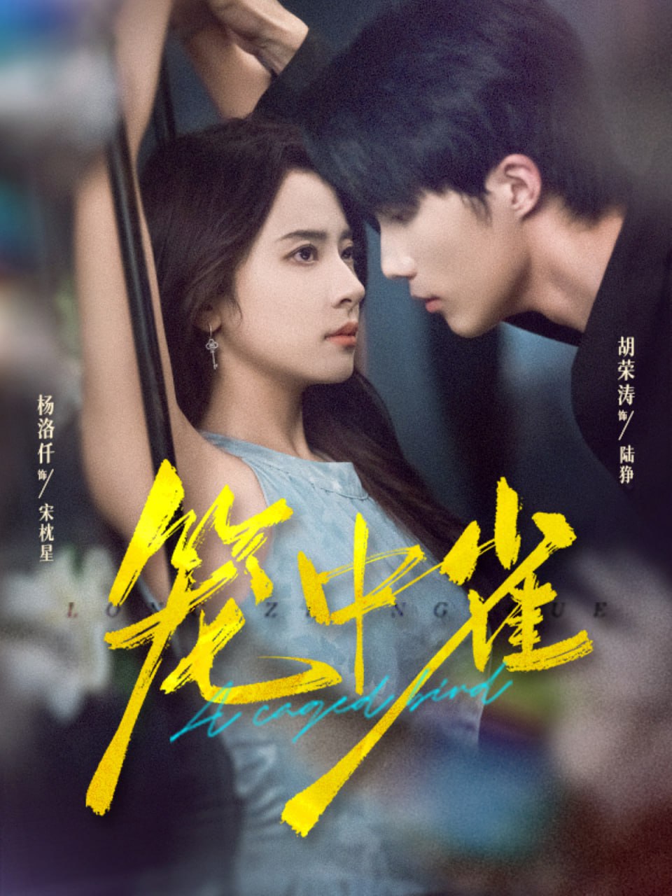 笼中雀 2025 全集完结(大结局)