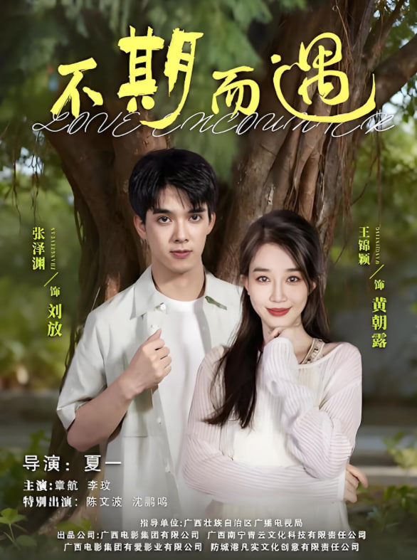 不期而遇 全集完结(大结局)