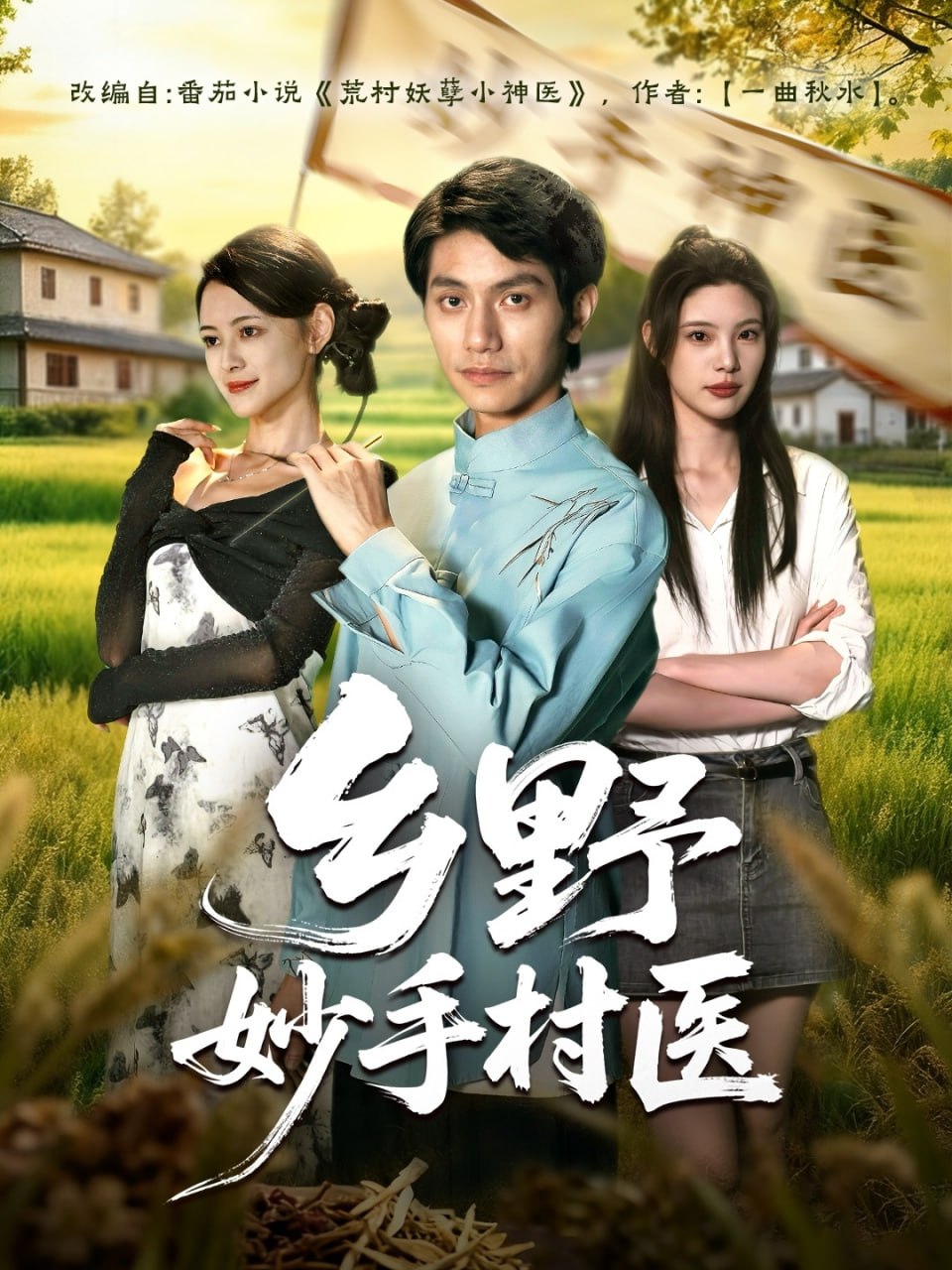 乡野妙手村医 全集完结(大结局)