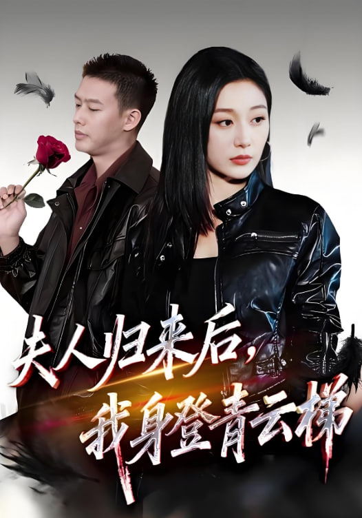 夫人归来后我身登青云梯（夫人助我踏巅峰） 全集完结(大结局)