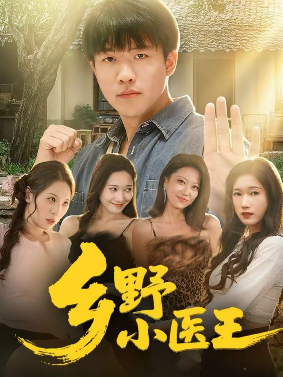 乡野小医王 全集完结(大结局)