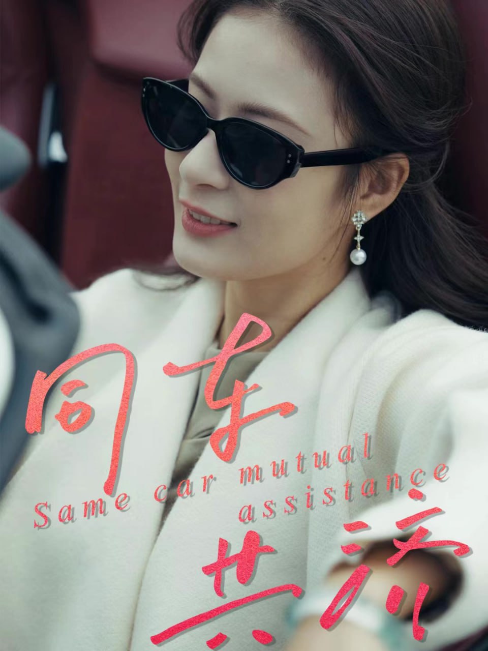 同车共济 全集完结(大结局)