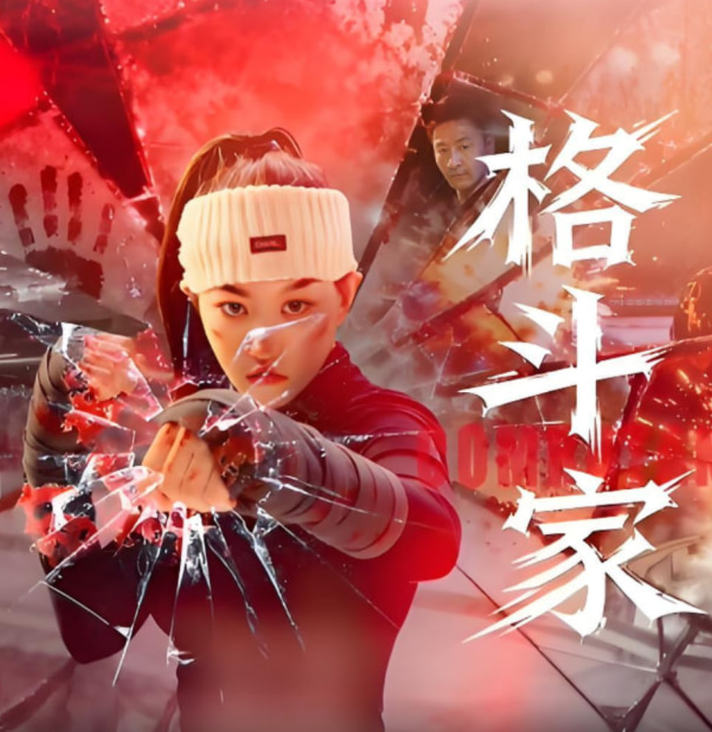 格斗家(全集)