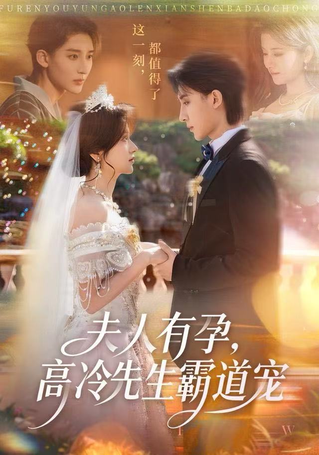 夫人有孕，高冷先生霸道宠 全集完结(大结局)