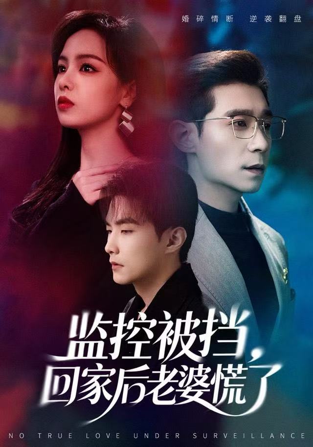 监控被挡，回家后老婆慌了 全集完结(大结局)