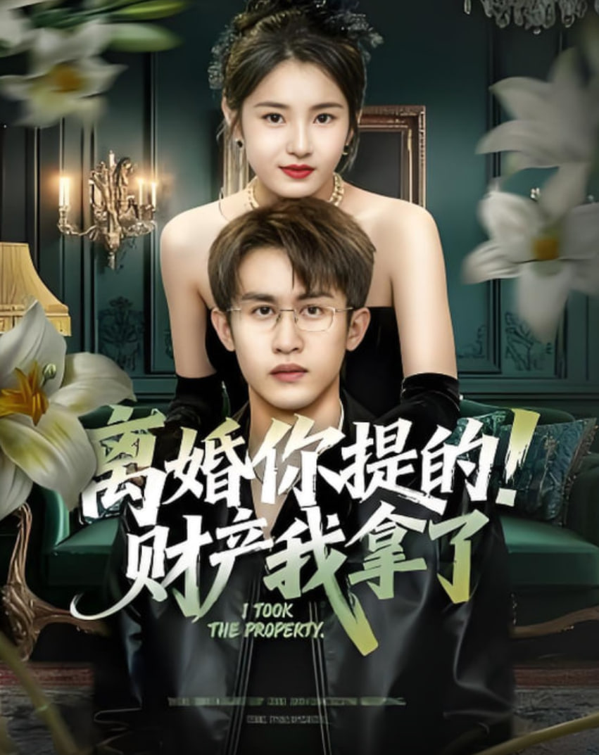 离婚你提的！财产我拿了 全集完结(大结局)