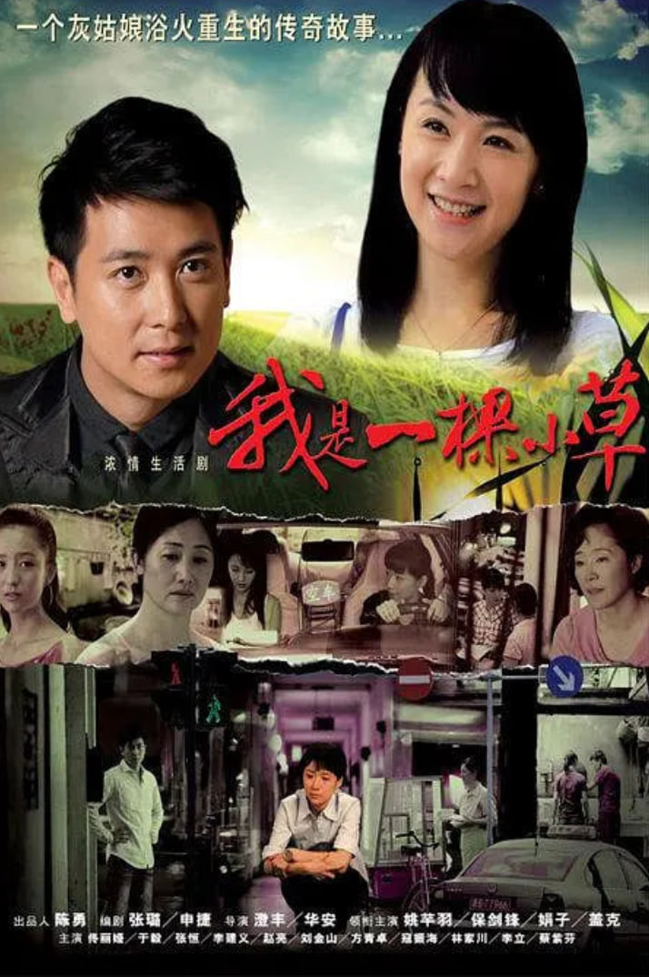 我是一棵小草 第35集