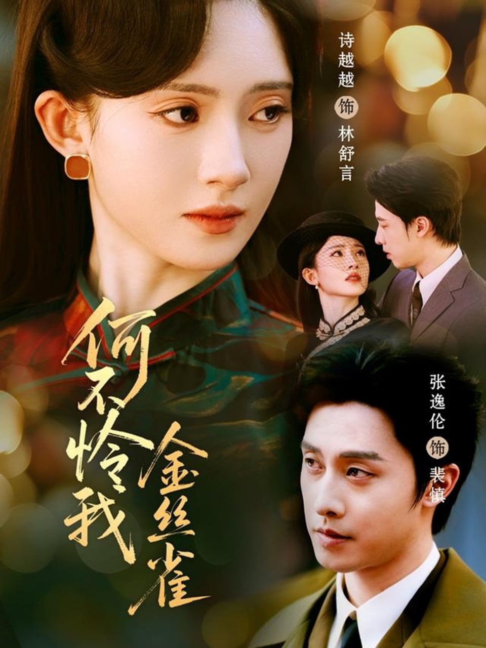 何不怜我金丝雀 全集完结(大结局)