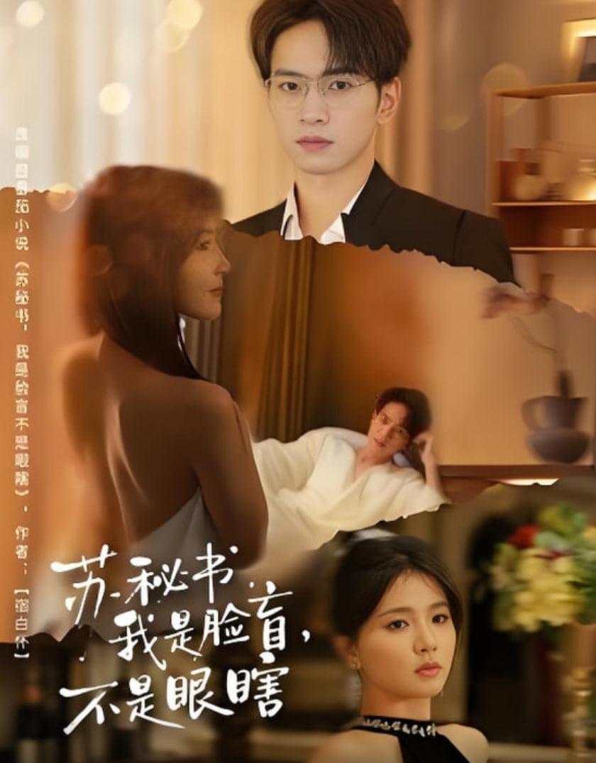 苏秘书我是脸盲不是眼瞎 全集完结(大结局)