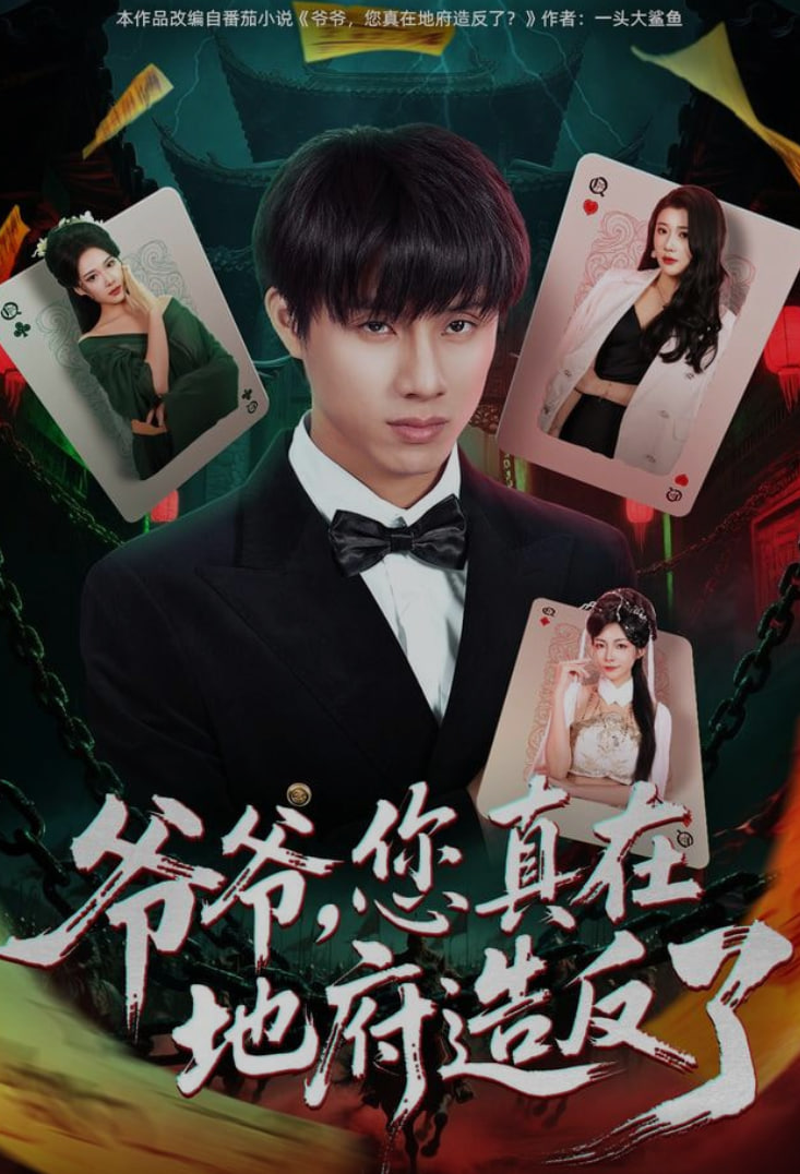 爷爷，您真在地府造反了 全集完结(大结局)