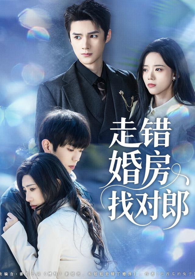 走错婚房找对郎 全集完结(大结局)