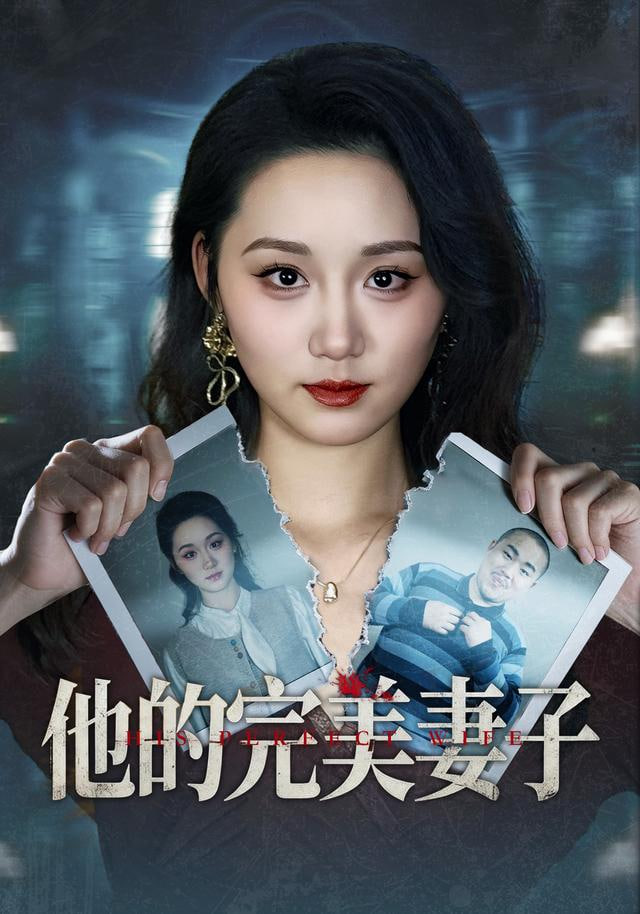 他的完美妻子 全集完结(大结局)