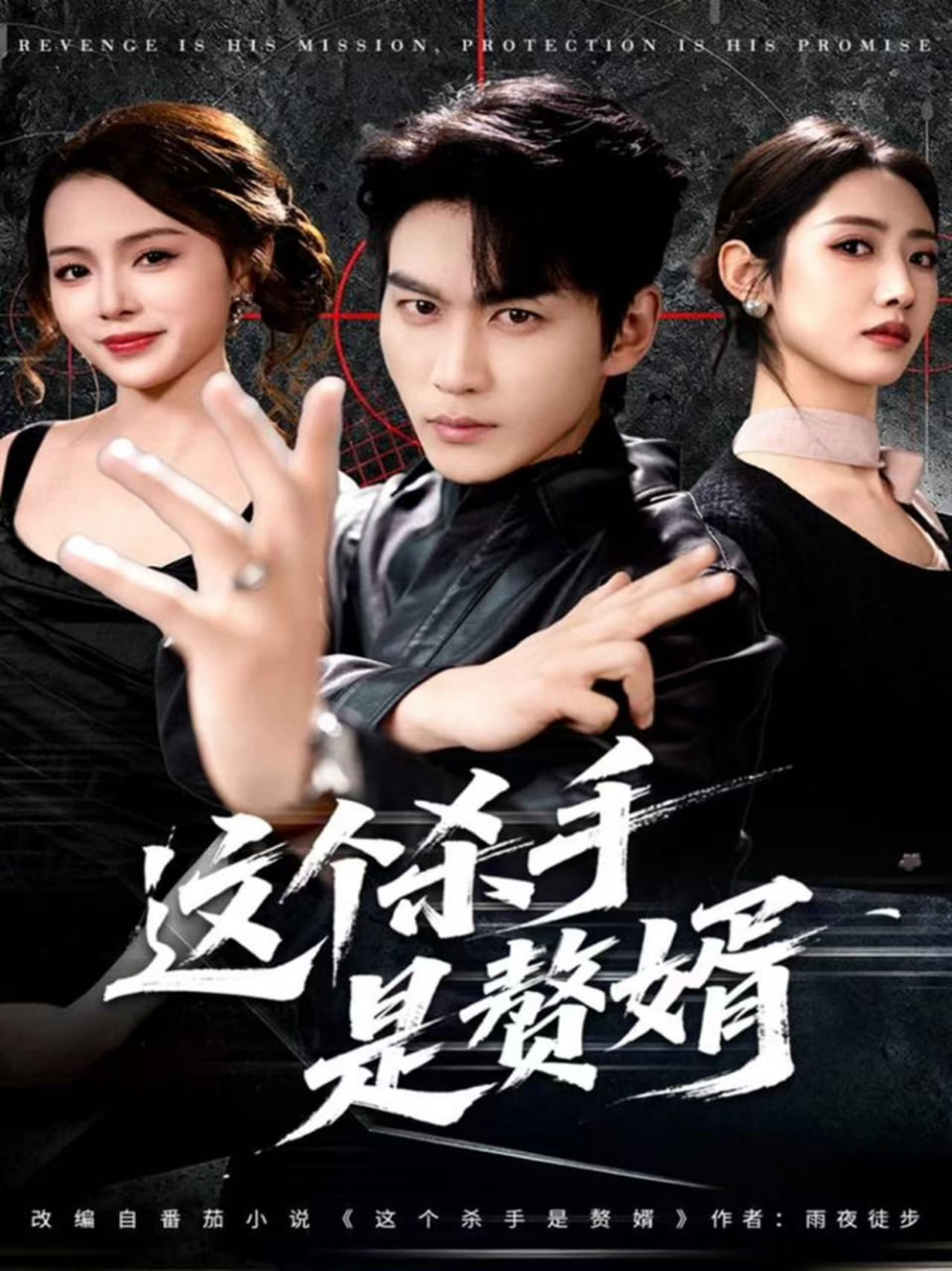 这个杀手是赘婿 全集完结(大结局)