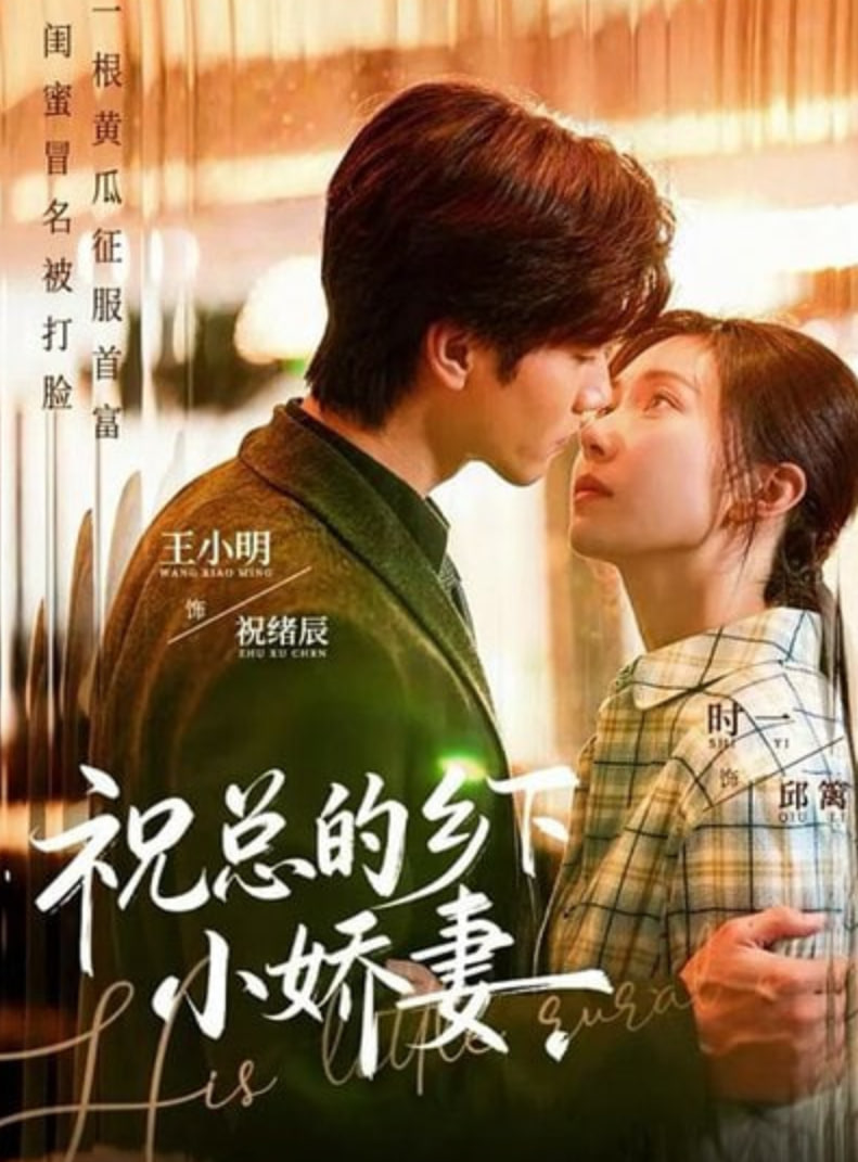 祝总的乡下小娇妻 全集完结(大结局)