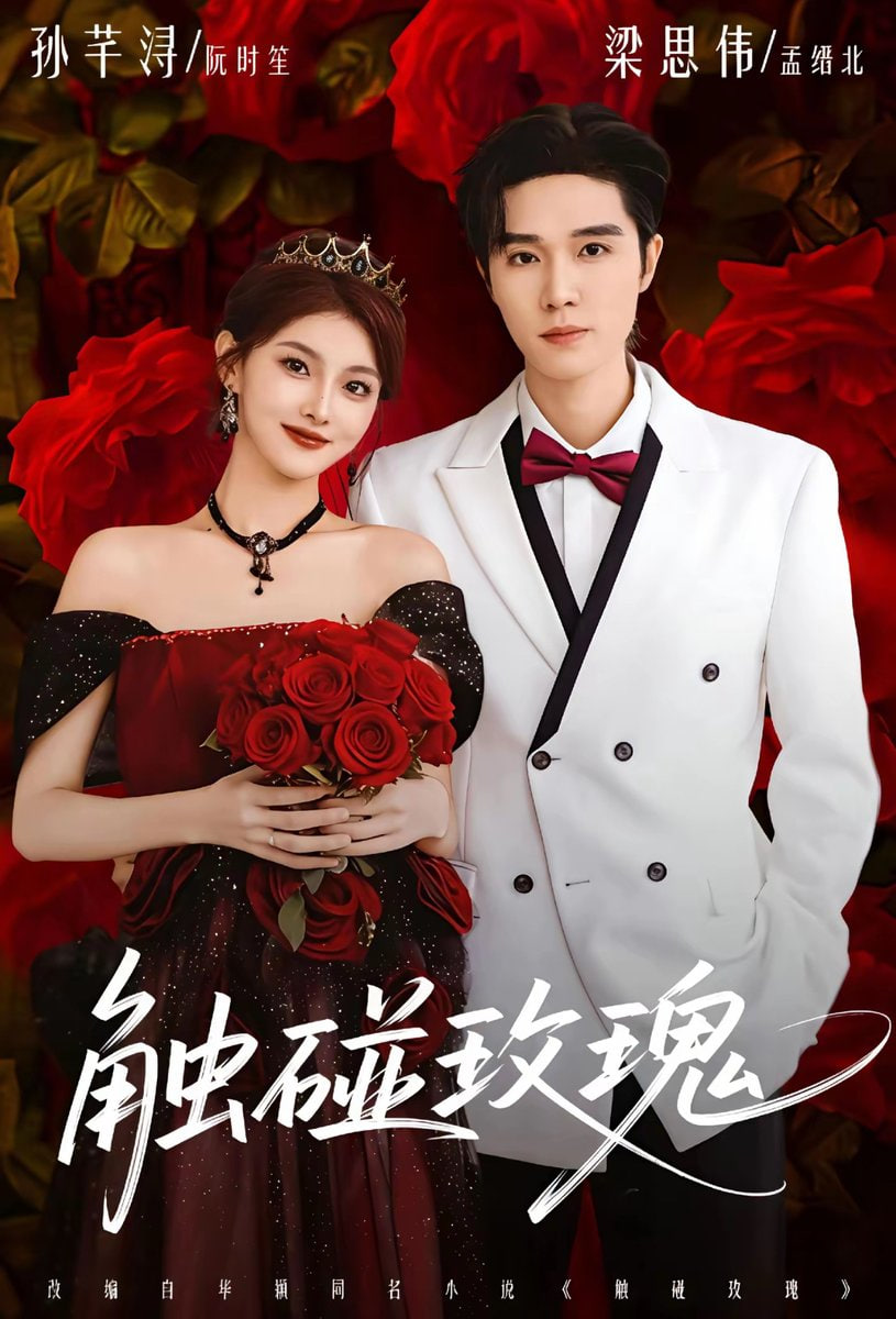 触碰玫瑰（凌晨四点半）玫瑰花未眠 全集完结(大结局)