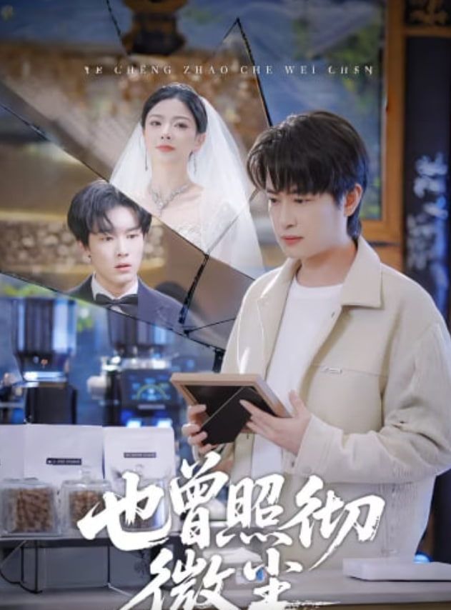 也曾照彻微尘 全集完结(大结局)