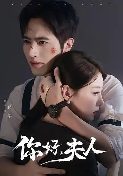 你好夫人 全集完结(大结局)