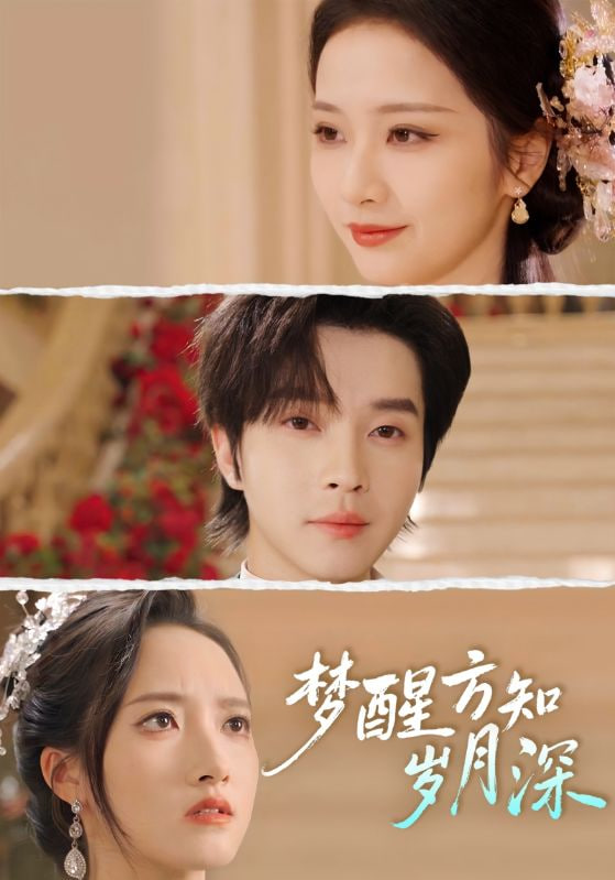 梦醒方知岁月深 (梦醒时你在我身侧) 全集完结(大结局)