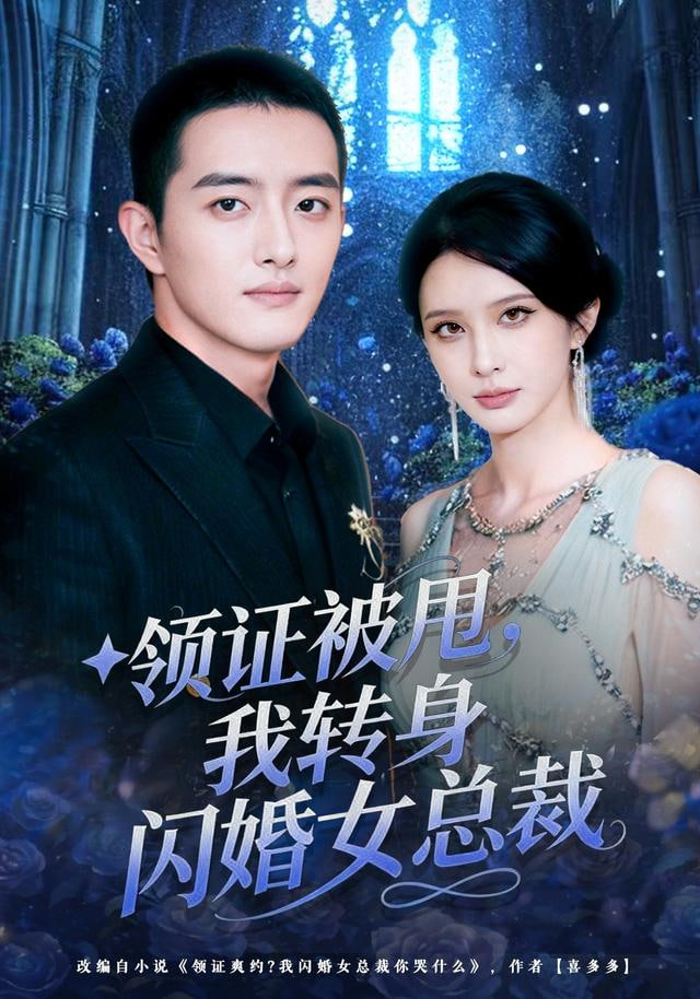 领证被甩，我转身闪婚女总裁 全集完结(大结局)