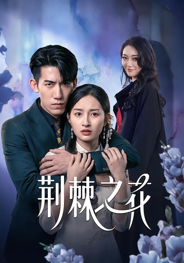 荆棘之花 全集完结(大结局)