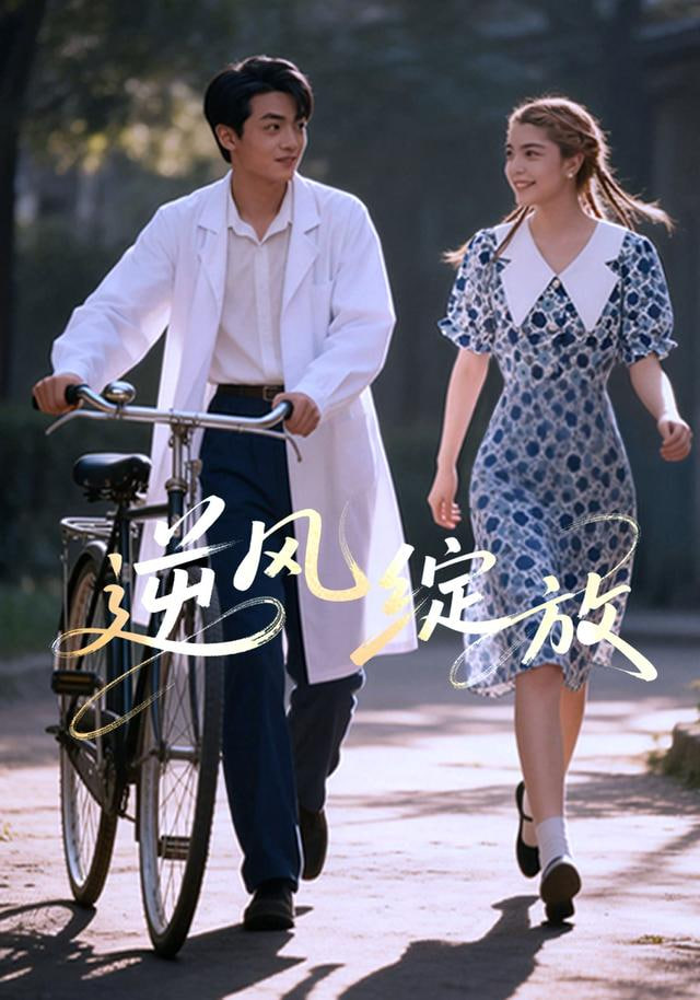 逆风绽放 全集完结(大结局)