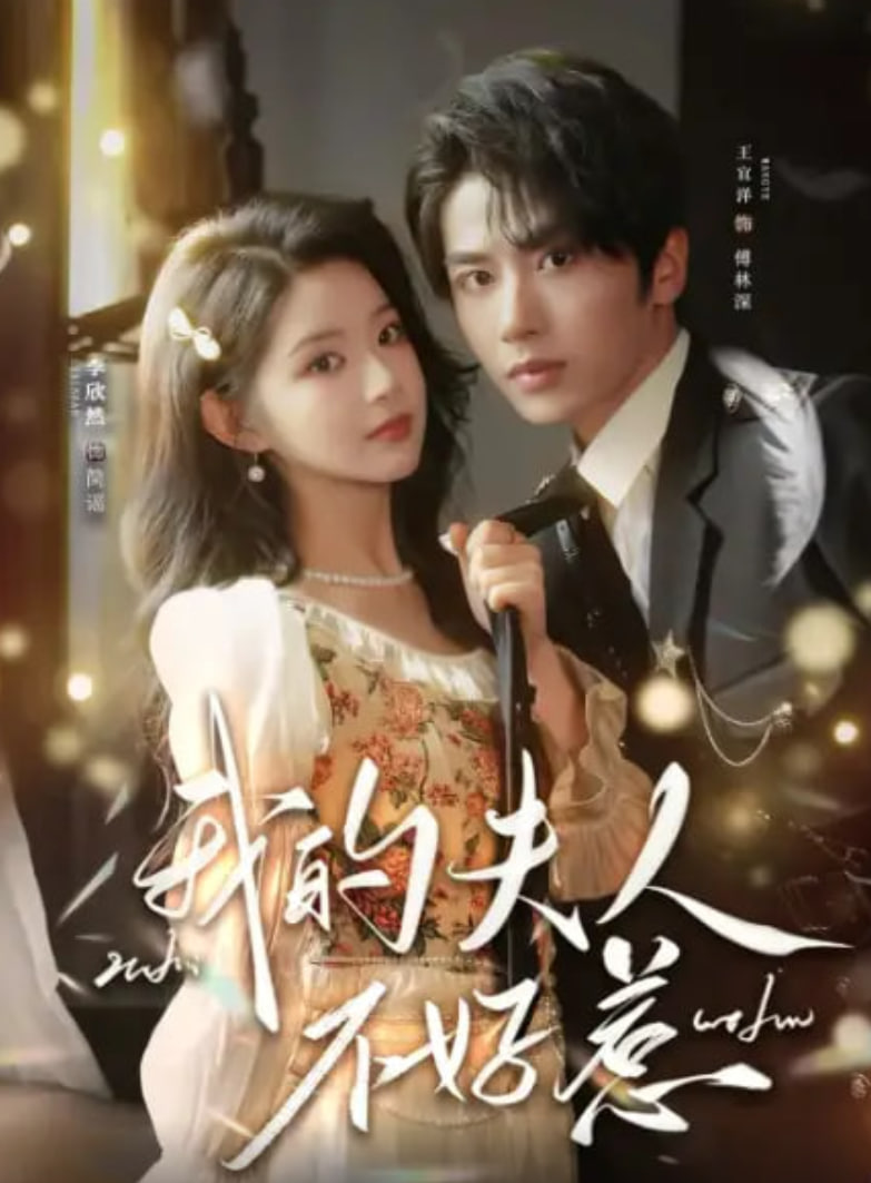 你好我的旅长夫人 (我的夫人不好惹) 全集完结(大结局)