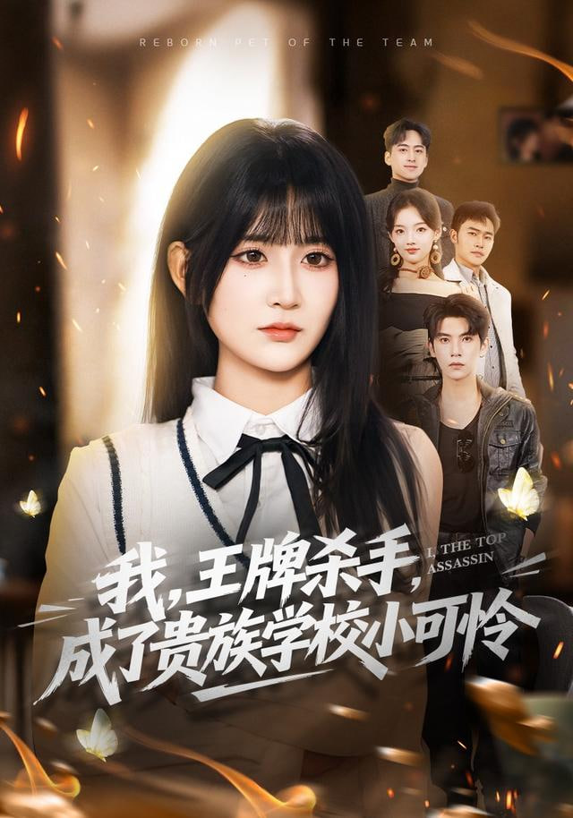 我，王牌杀手，成了贵族学校小可怜（我王牌杀手成了贵族学校小可怜） 全集完结(大结局)