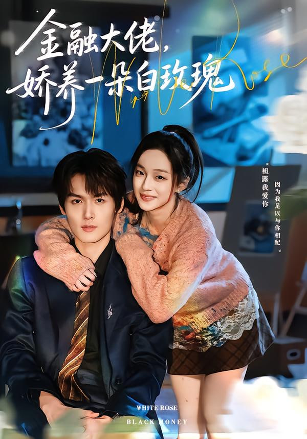 金融大佬，娇养一朵白玫瑰 全集完结(大结局)