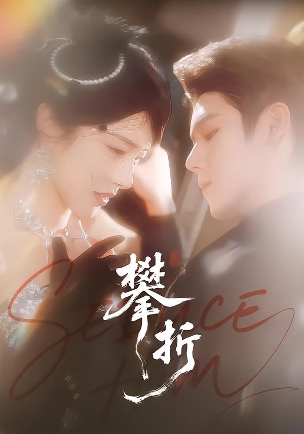 攀折 全集完结(大结局)