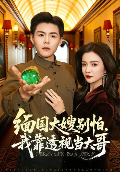 缅国大嫂别怕，我靠透视当大哥 全集完结(大结局)