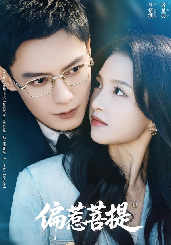 偏惹菩提 全集完结(大结局)