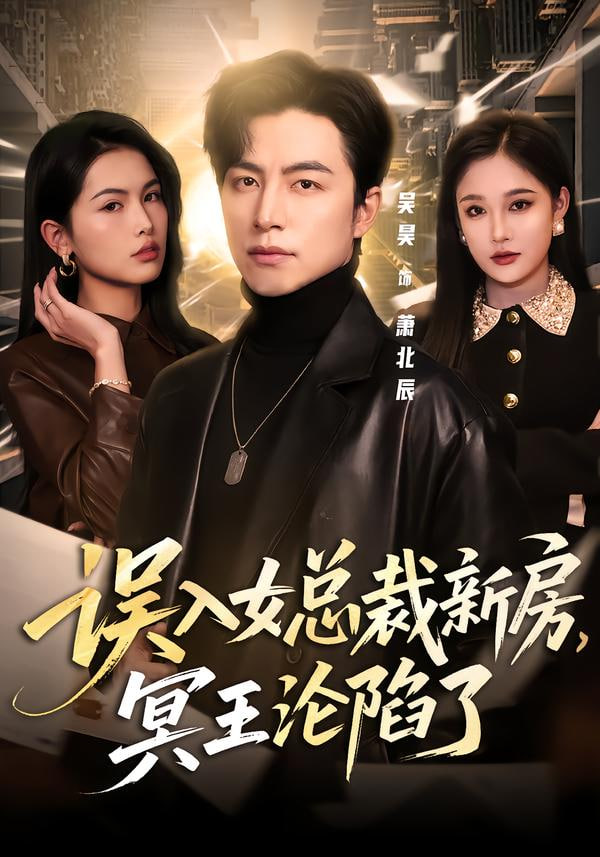 误入女总裁新房，冥王沦陷了 全集完结(大结局)