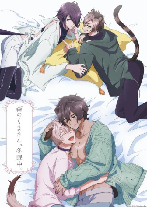 森林里的熊先生冬眠中 第01集