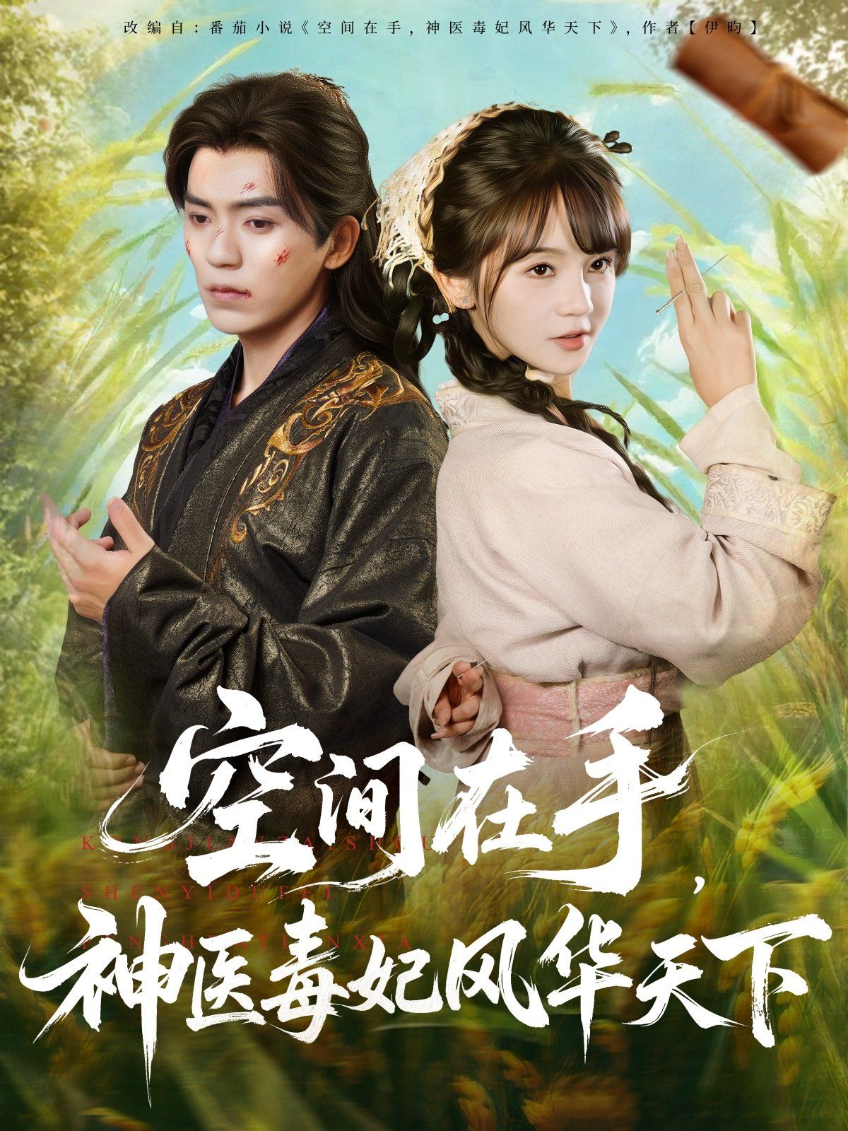 空间在手，神医毒妃风华天下 全集完结(大结局)