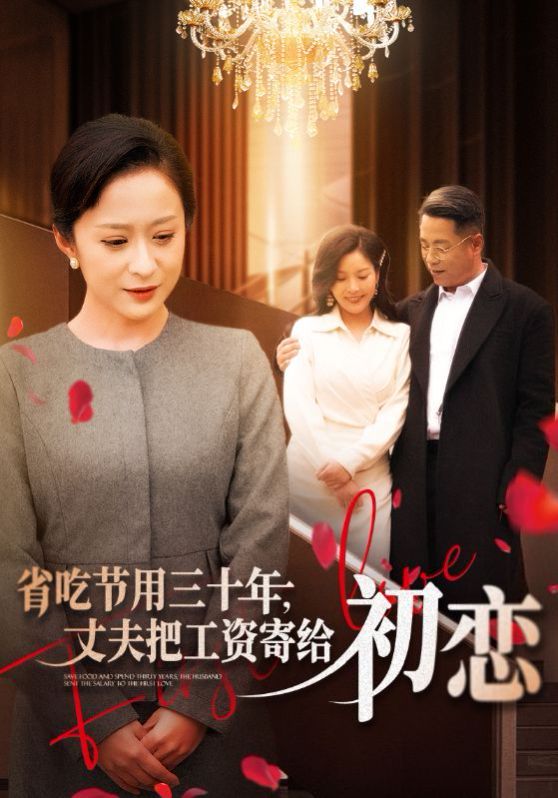 省 第41-64集(大结局)