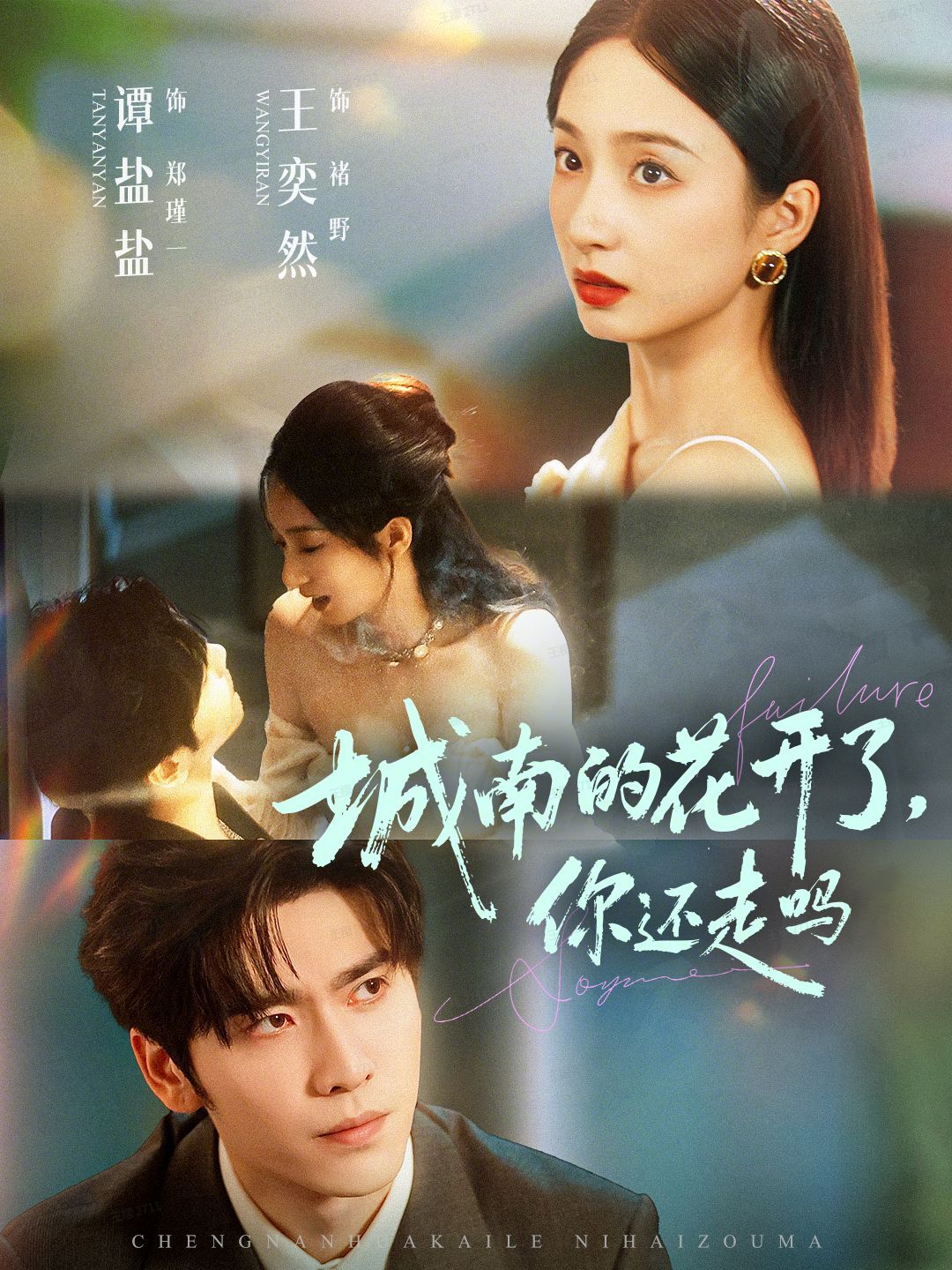 城南的花开了，你还走吗 全集完结(大结局)