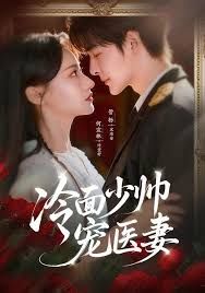 冷面少帅宠医妻 全集完结(大结局)