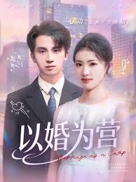以婚为营 全集完结(大结局)
