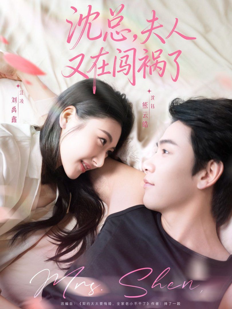 沈总，夫人又在闯祸了 全集完结(大结局)