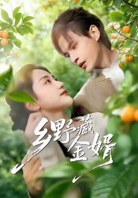 乡野藏金婿 全集完结(大结局)