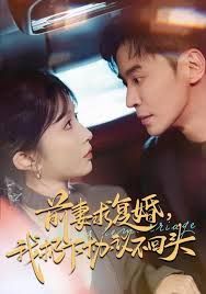 前妻求复婚，我扔下协议不回头 全集完结(大结局)